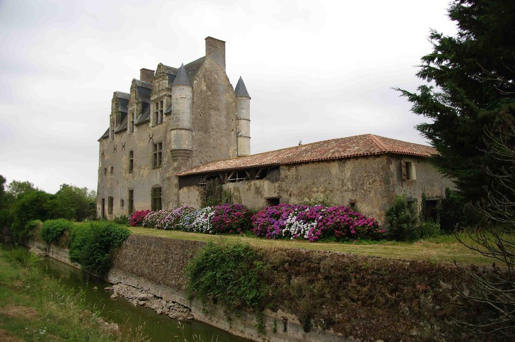 Chateau De Vermette Hotel La Chapelle-Gaudin Esterno foto