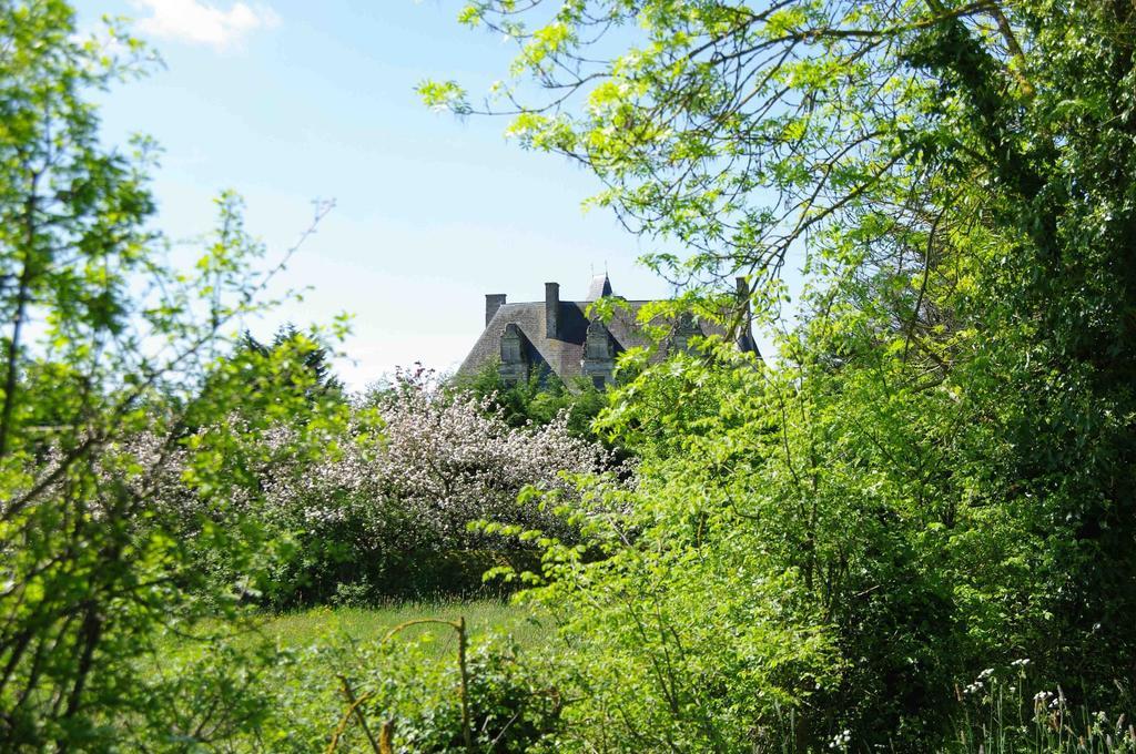 Chateau De Vermette Hotel La Chapelle-Gaudin Esterno foto